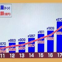 permintaan-wagyu-jepang-melonjak-drastis-sejak-2013-2-penyelundup-ditangkap