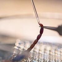 cerita-penumpang-pesawat-digigit-kalajengking-sepanjang-10-cm