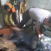 korban-kebakaran-ini-sering-nyalakan-api-untuk-usir-serangga-di-rumah