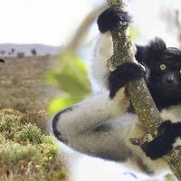 5-objek-wisata-satwa-liar-terbaik-ada-satu-dari-indonesia