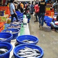anies-baswedan-pasar-ikan-modern-muara-baru-hadiah-untuk-warga-jakarta