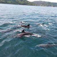 pantai-terbaik-se-indonesia