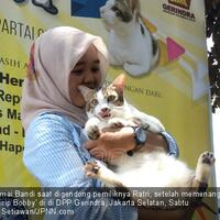 meong-bandi-jadi-pemenang-lomba-kucing-mirip-milik-prabowo