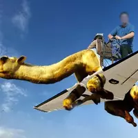 ternyata-pilot-di-as-sudah-5-kali-keluhkan-boeing-737-max-8