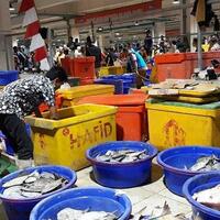 borong-di-pim-muara-baru-jokowi--sebulan-ke-depan-saya-hanya-makan-ikan-dan-kerang