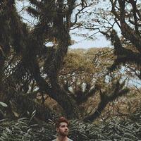 6-hutan-di-jawa-timur-tawarkan-petualangan-bak-film-fantasi-berani-mengunjunginya