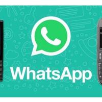 trik-mengirim-pesan-whatsapp-tanpa-harus-menyimpan-nomor-tujuan