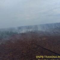 greenpeace-dana-publik-kok-untuk-padamkan-api-akibat-aktivitas-bisnis