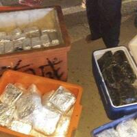 paket-106-kg-sabu-dalam-boks-ikan-senilai-rp-120-miliar-berhasil-dibongkar-bnn