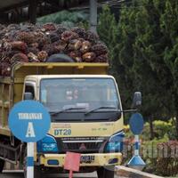 harga-cpo-kembali-turun-139-persen-akibat-keputusan-uni-eropa