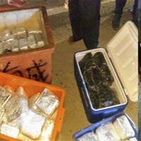 bnnp-kalbar-gagalkan-penyelundupan-100-kg-sabu-yang-dikemas-dalam-fiber-ikan