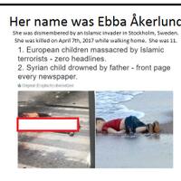 siapa-ebba-akerlund-yang-jadi-dalih-pelaku-penembakan-masjid-di-selandia-baru