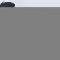 putus-dari-ariel-tatum-pesepakbola-ryuji-utomo-nikahi-presenter-shabrina-ayu-rosandy