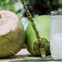 jangan-minum-air-kelapa-muda-saat-mengalami-5-kondisi-ini