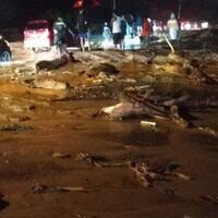 banjir-bandang-setani-papua-sebabkan-14-tewas-sutopo-purwo-jelaskan-penyebabnya