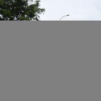 ramai-penggunaan-aspal-karet-dan-plastik-ini-perbedaan-dan-manfaatnya