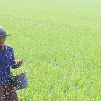 kementan-serap-aspirasi-produksi-dan-pendapatan-petani-meningkat