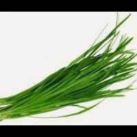 segudang-manfaat-daun-kucai-mulai-dari-turunkan-kolesterol-hingga-cegah-kanker