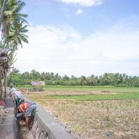 aneka-infrastruktur-air-makin-dirasakan-manfaatnya-oleh-petani