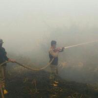 senin-pagi-teluk-meranti-pelalawan-diselimuti-kabut-asap-pekat