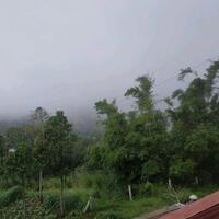 aktivitas-terkini-gunung-merapi-bpptkg-catat-2-kali-guguran-lava-ke-arah-kali-gendol