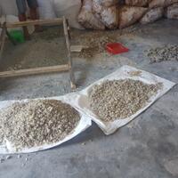lanjutkan-usaha-hasil-alam-getah-damar--1x-kirim-kontainer-120jt