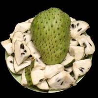 manfaat-buah-sirsak-bisa-meningkatkan-kesehatan-otak-hingga-jaga-kelembaban-kulit