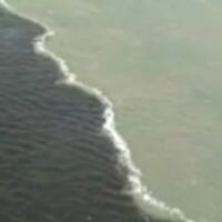 geger-air-laut-dua-warna-tak-bisa-bercampur-di-jembatan-suramadu