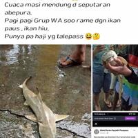 sentani-tak-terhubung-ke-laut-mengapa-ikan-hiu-bisa--nyasar--saat-banjir