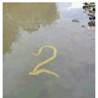 foto-pendukung-jokowi-di-palembang-mirip-tumpukan-pasir-ini-faktanya