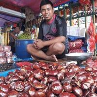 harganya-lebih-mahal-dari-ayam-jengkol-ternyata-miliki-khasiat-luar-biasa