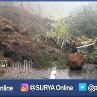 puluhan-pohon-akasia-tumbang-terkena-abu-vulkanik-erupsi-gunung-bromo