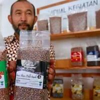ekspor-perdana-beras-organik-banyuwangi-ke-italia-ini-jenis-jenisnya