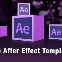 template-adobe-after-effect
