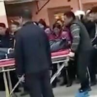 di-china-anak-bunuh-ibunya-gara-gara-anjing-peliharaan