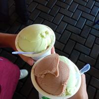 ice-cream-vegetarian-maknyuuss-di-pontianak