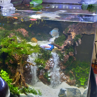 aquascape-for-everyone-learning-and-sharing---part-3