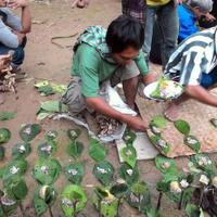 foto-ritual-agama-alukta-masih-dipraktekkan-di-pinrang