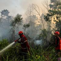 kebakaran-riau-meluas-hingga-mencapai-2719-hektare