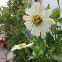 kualitas-kamera-smartphone-jelek--coba-main-aliran-foto-ini