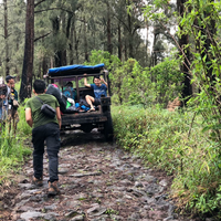 catper--gunung-arjuno-welirang-maret-2019