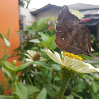 kualitas-kamera-smartphone-jelek--coba-main-aliran-foto-ini