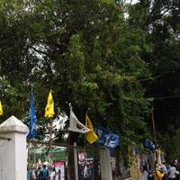 tak-ada-pengurus-hingga-apk-di-kampanye-terbuka-prabowo-sandi-di-solo