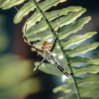 kavling-fujifilm-reborn---part-1