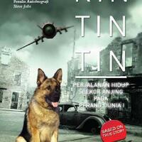 lima-ras-anjing-terbaik-untuk-keperluan-perlindungan-pribadi