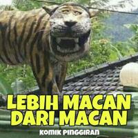 fans-jokowi-dikeroyok-massa-pro-prabowo--cerminan-watak-pemimpinnya