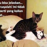 lah-gimana-mau-quotena-enaquot-koq-salah-orang