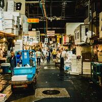 pasar-ikan-modern-muara-baru-tsukiji-market-nya-indonesia-nih