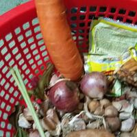 wik-wik-di-semak-semak-apa-sih-yang-dipikirkan