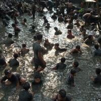 tradisi-nyadran-ratusan-warga-tangkap-ikan-lele